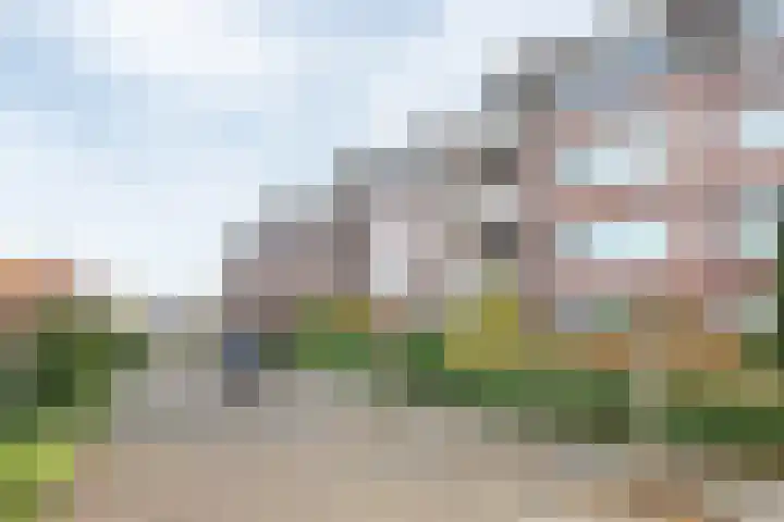 Schouten Hof 19 Barneveld thumbnail 28
