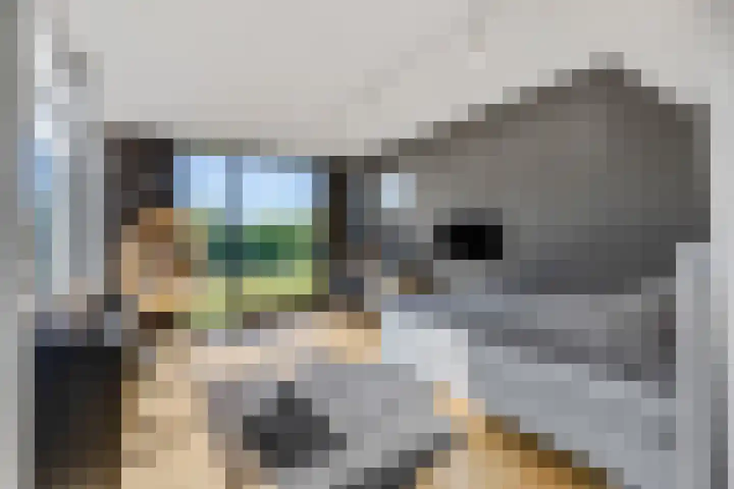 Schoutenboomgaardweg 1 D Rhenen thumbnail 37