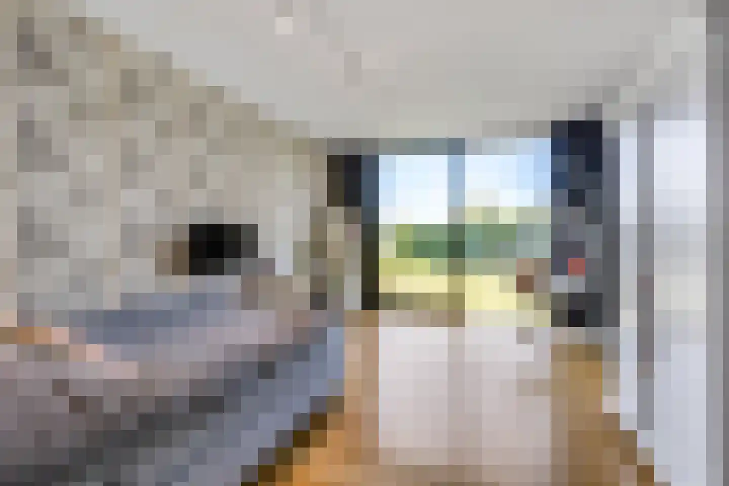 Schoutenboomgaardweg 1 D Rhenen thumbnail 39