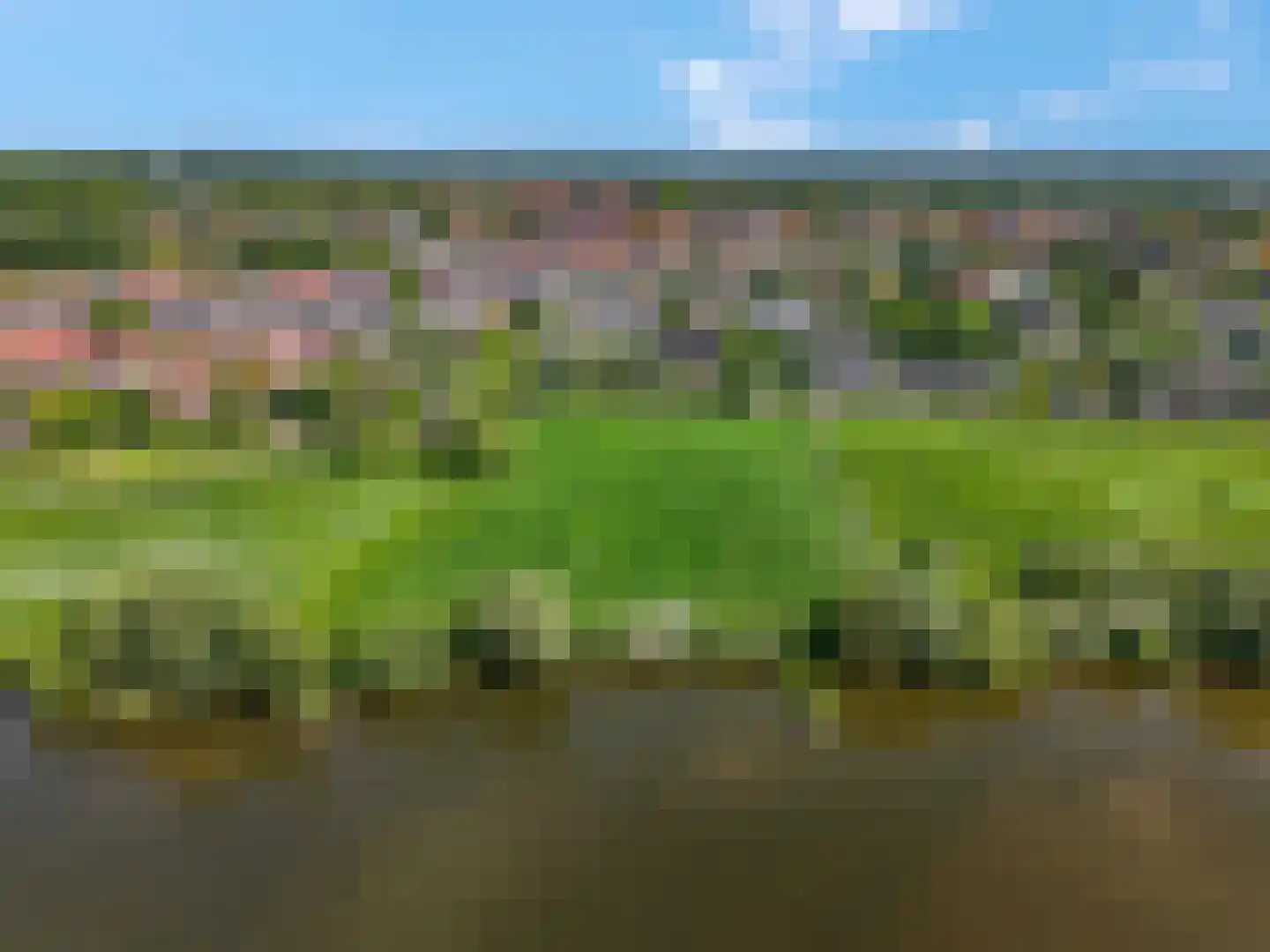 Schoutenboomgaardweg 1 D Rhenen thumbnail 54