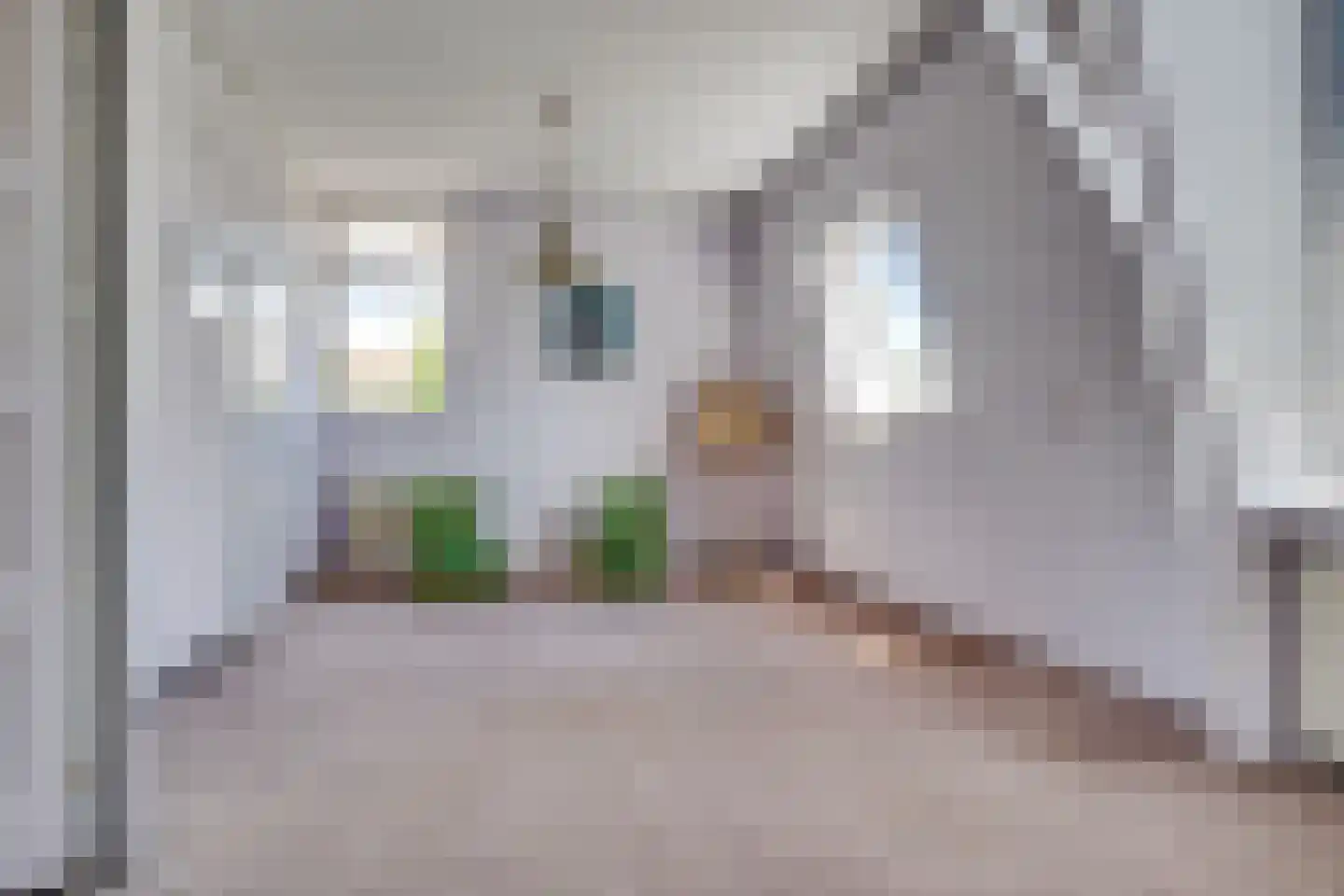 Schoutenboomgaardweg 2 Rhenen thumbnail 24