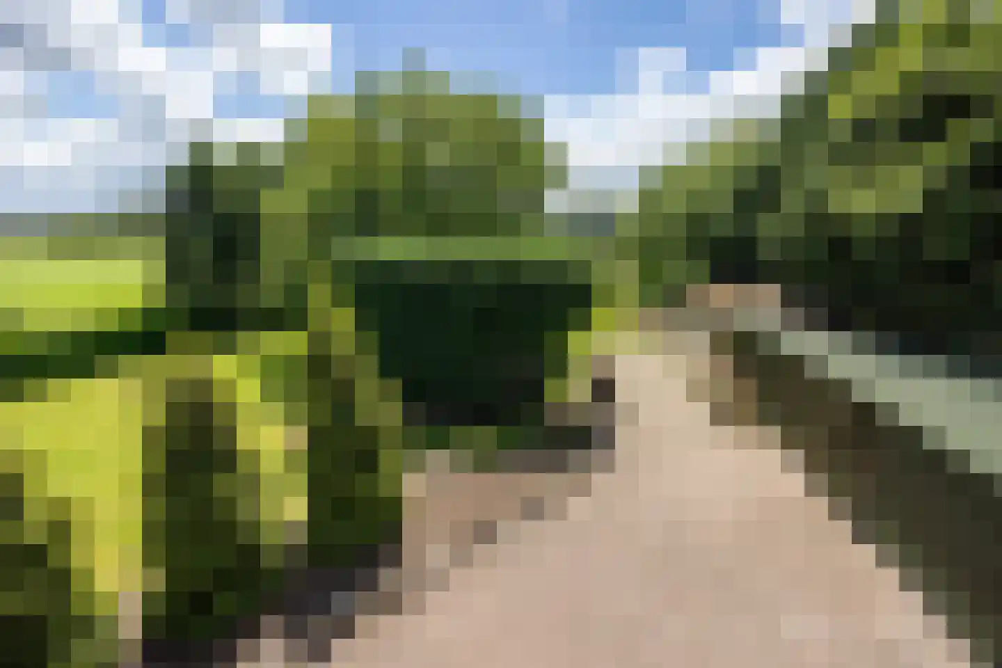 Schoutenboomgaardweg 2 Rhenen thumbnail 36