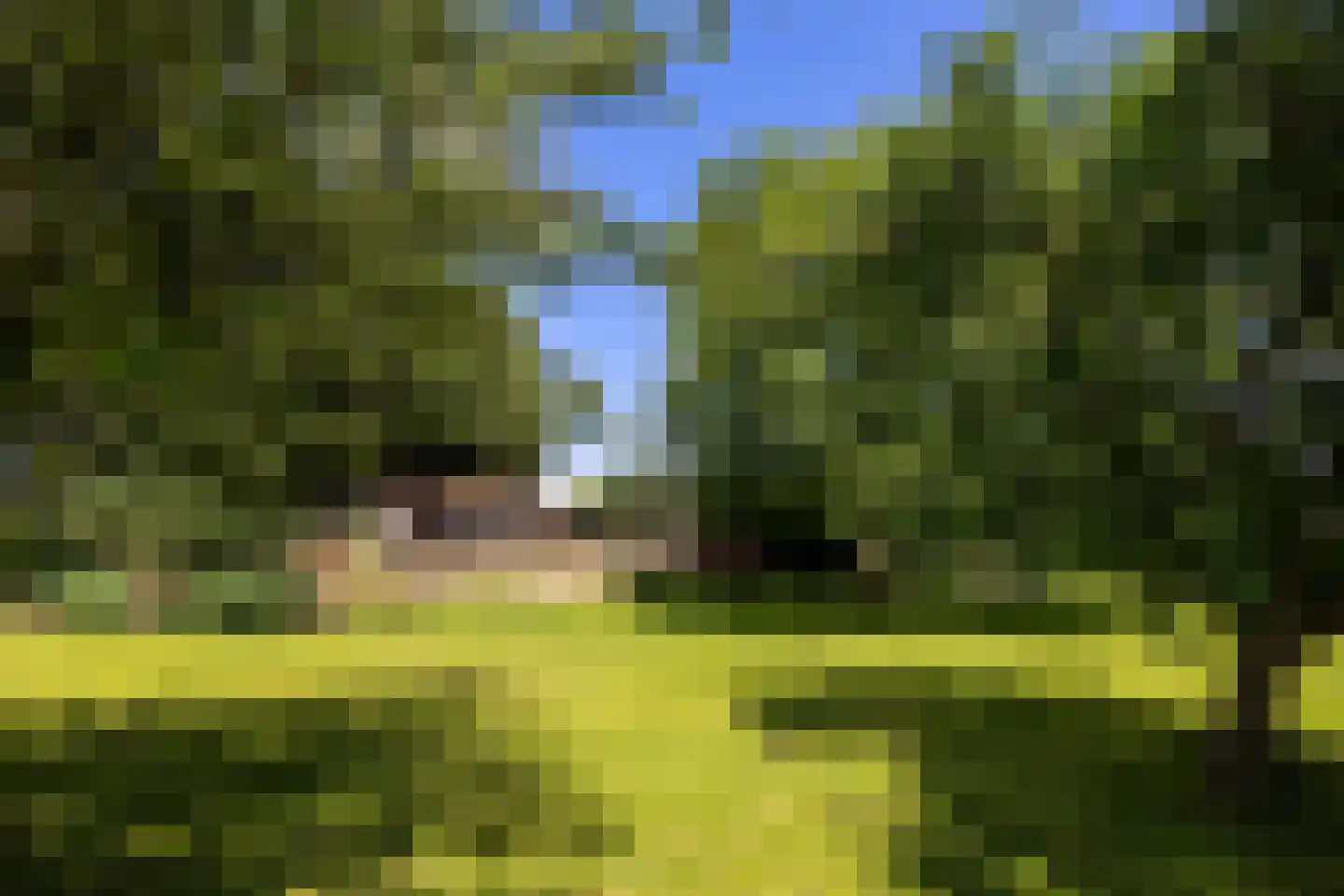 Schoutenboomgaardweg 2 Rhenen thumbnail 37