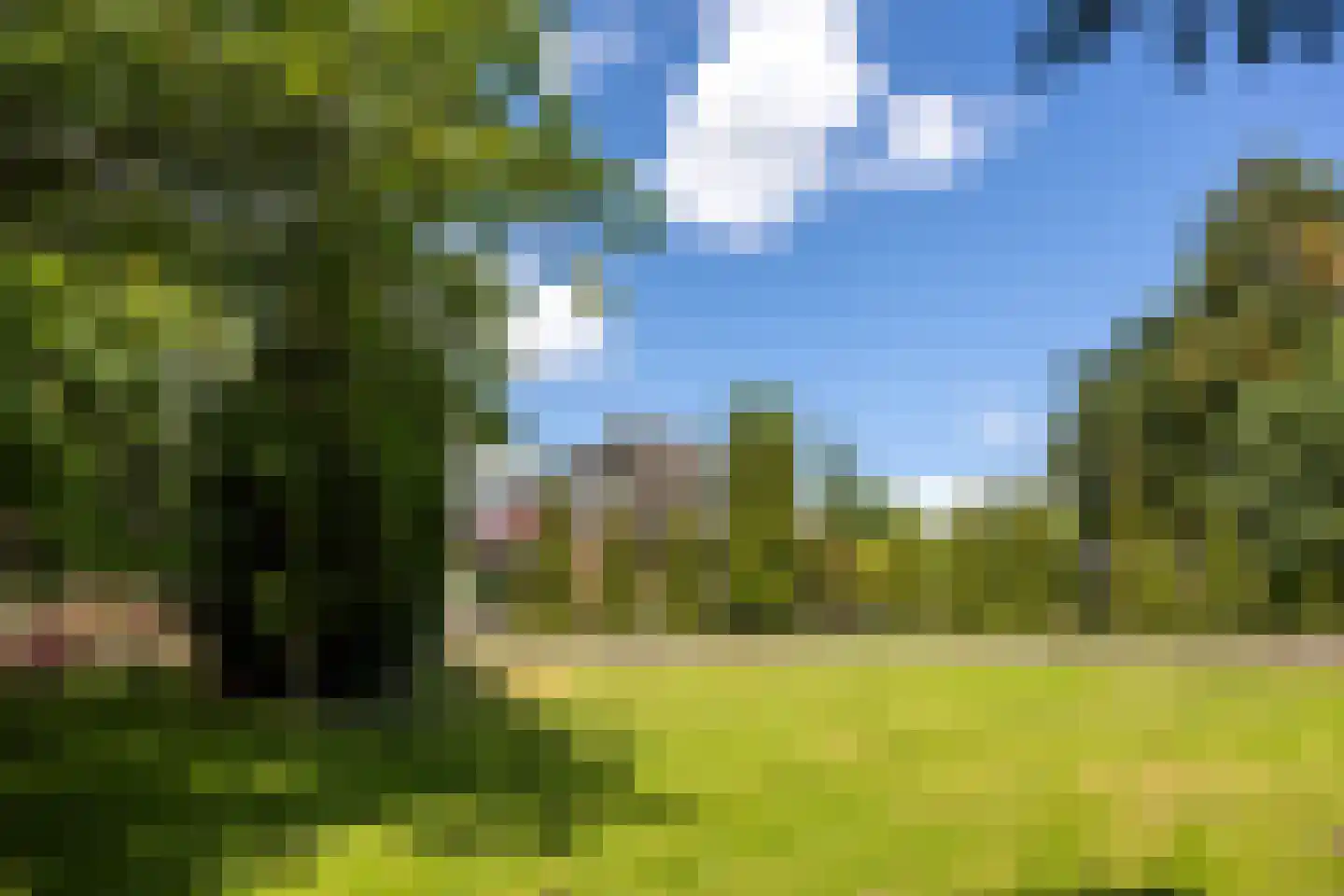 Schoutenboomgaardweg 2 Rhenen thumbnail 38