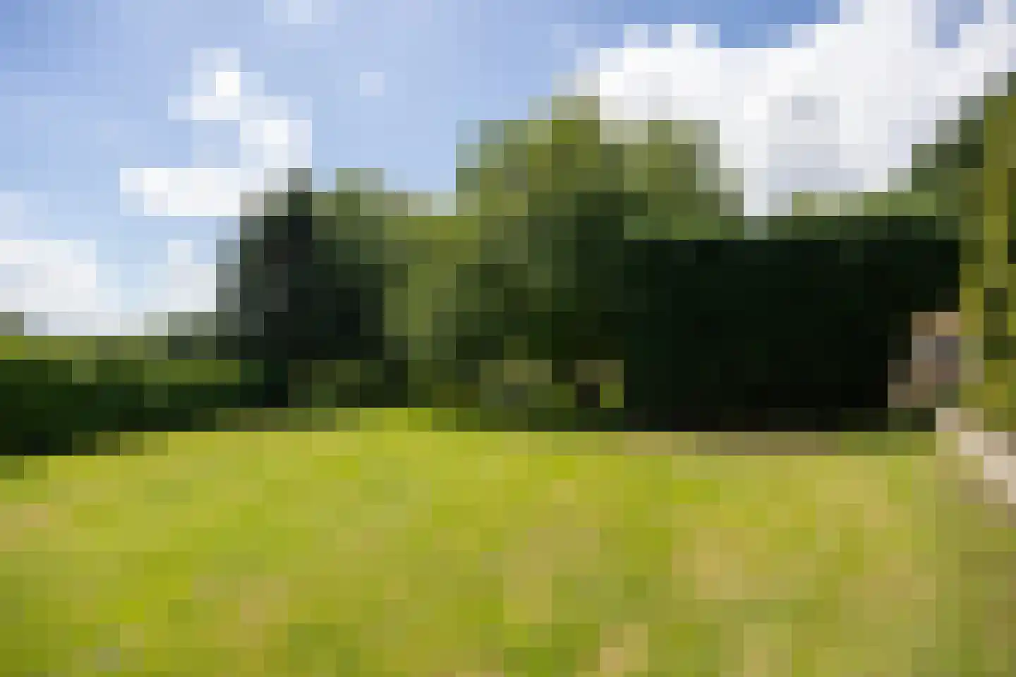 Schoutenboomgaardweg 2 Rhenen thumbnail 39