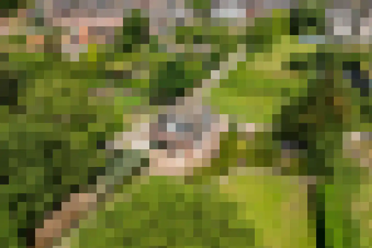 Schoutenboomgaardweg 2 Rhenen thumbnail 4