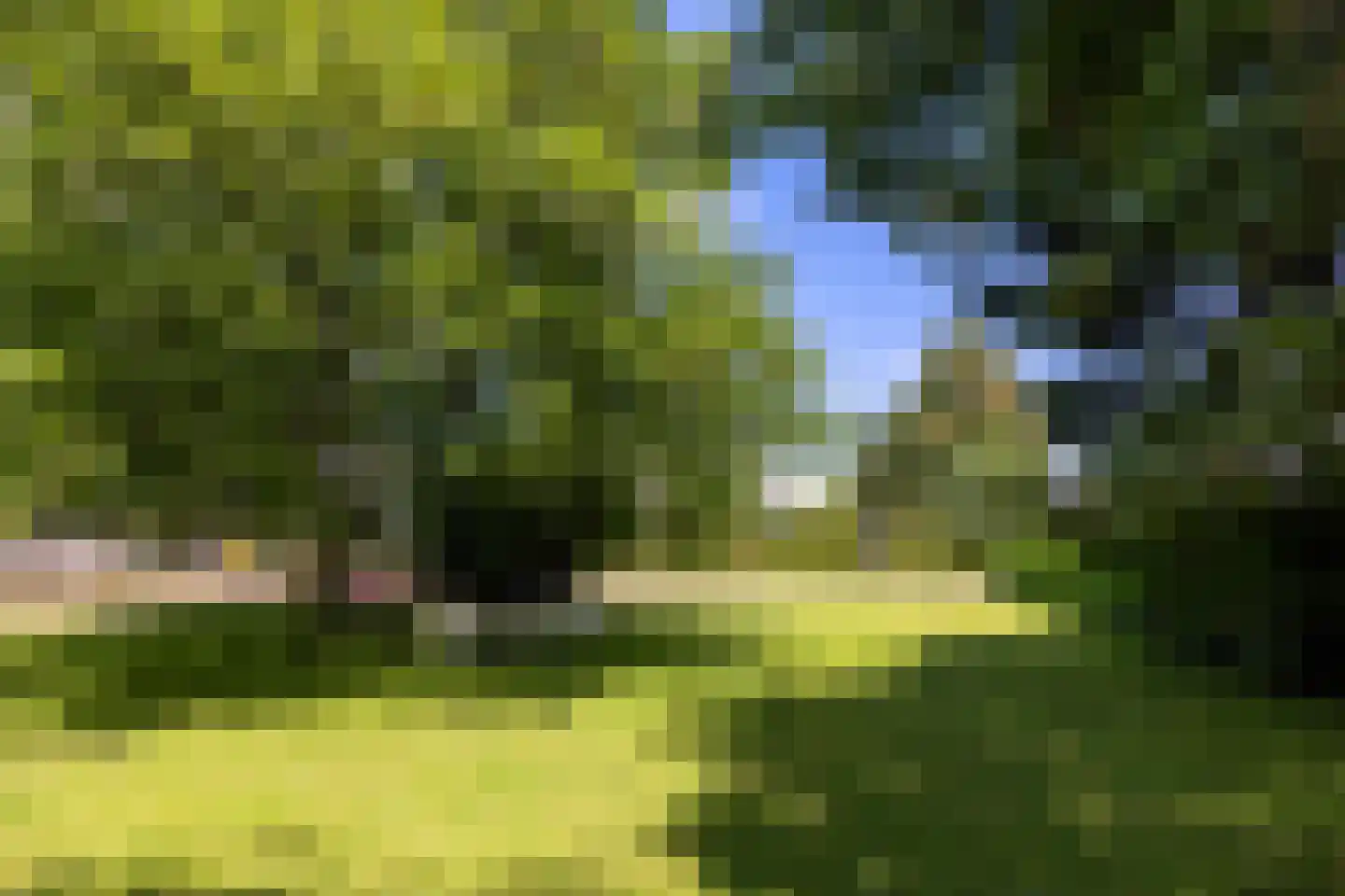 Schoutenboomgaardweg 2 Rhenen thumbnail 40