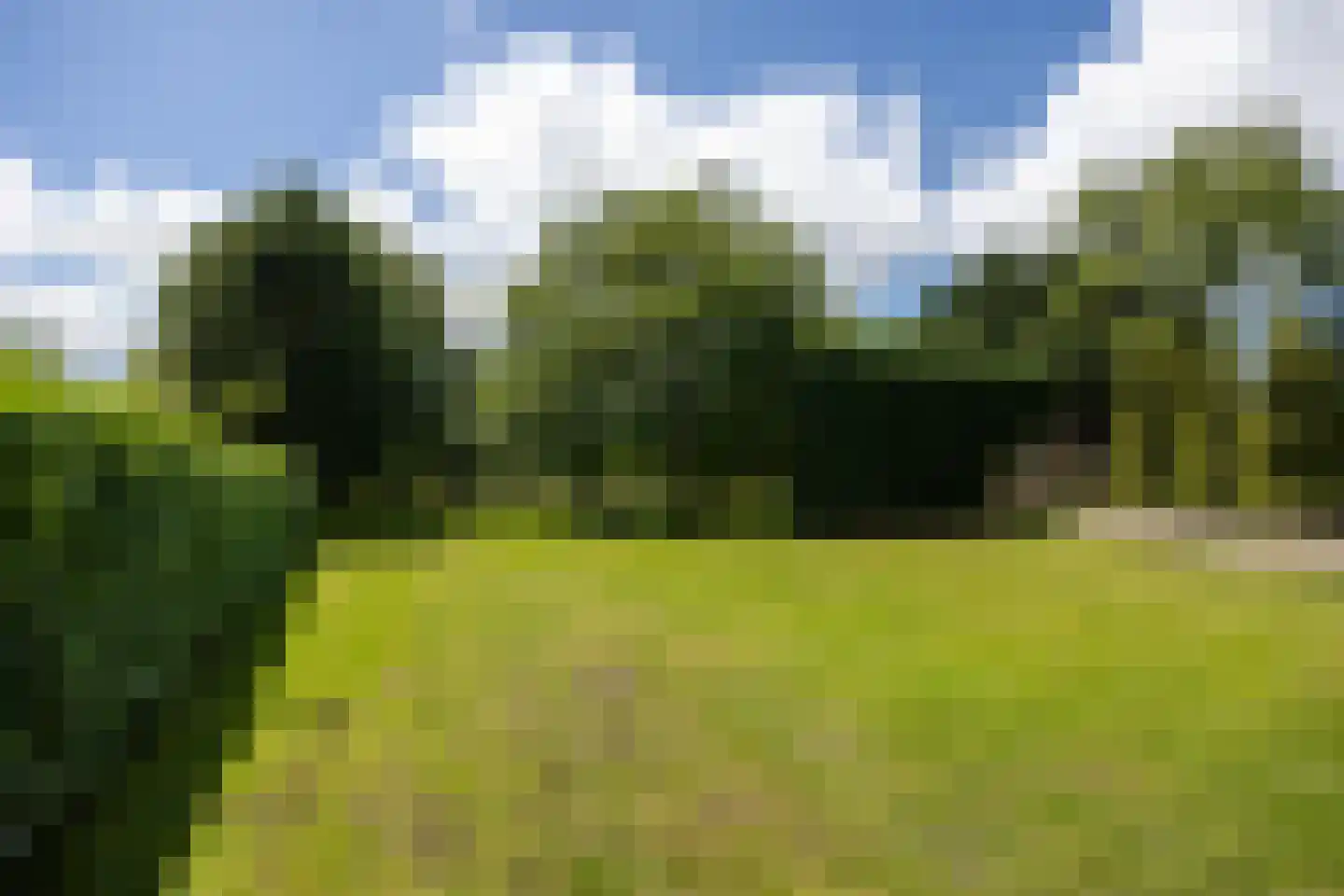 Schoutenboomgaardweg 2 Rhenen thumbnail 41