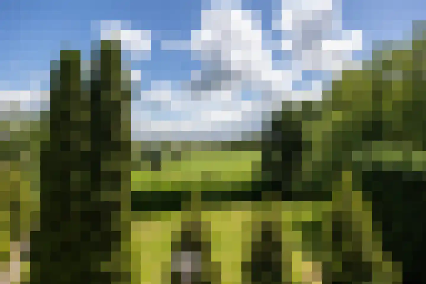 Schoutenboomgaardweg 2 Rhenen thumbnail 42
