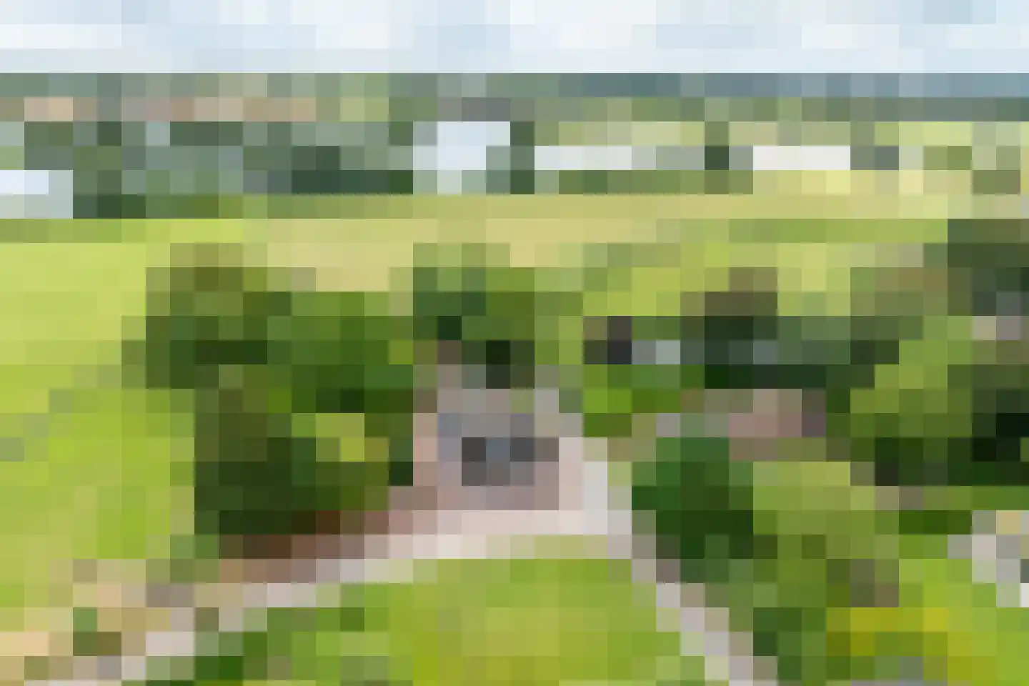 Schoutenboomgaardweg 2 Rhenen thumbnail 44