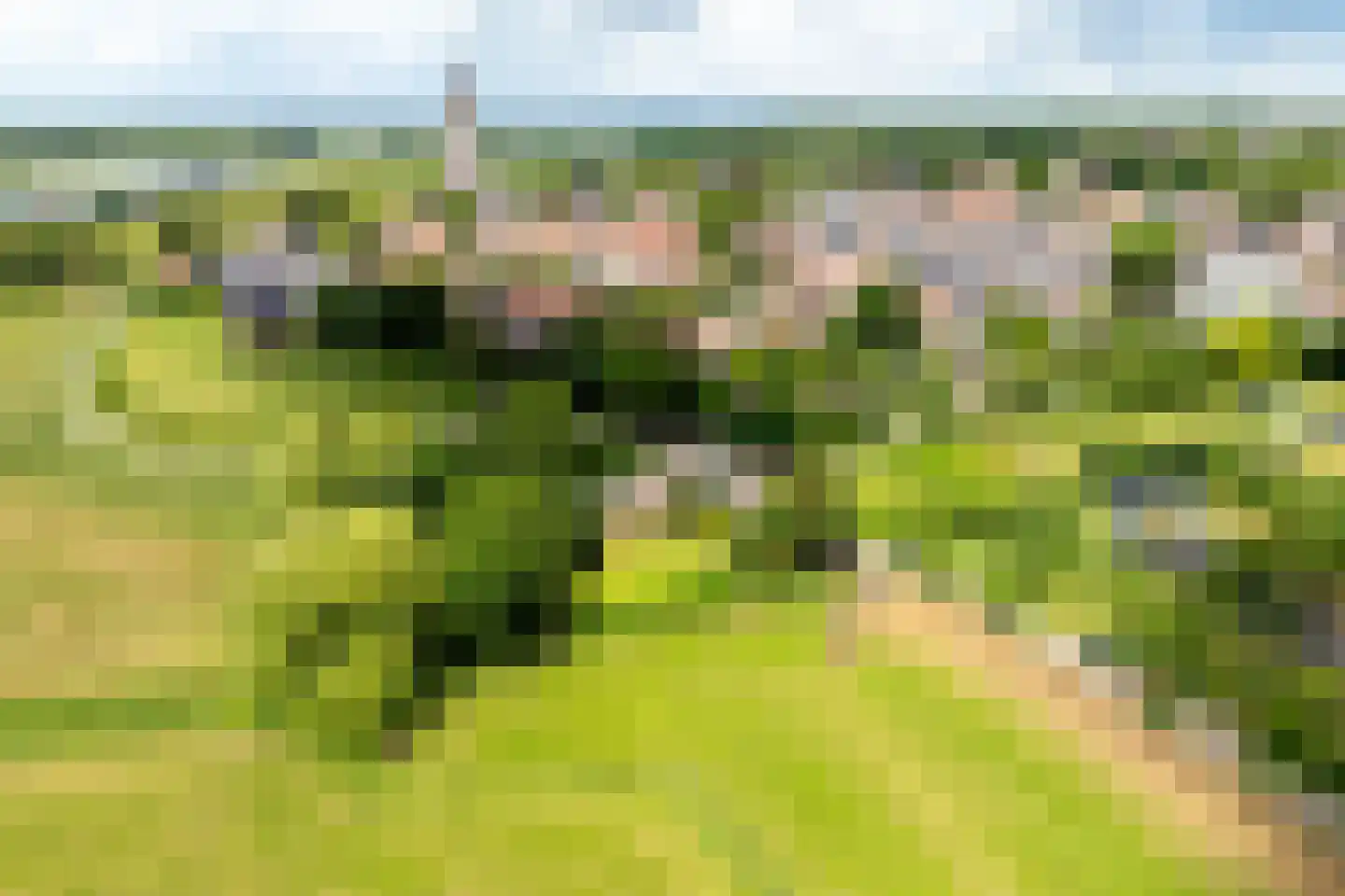 Schoutenboomgaardweg 2 Rhenen thumbnail 45