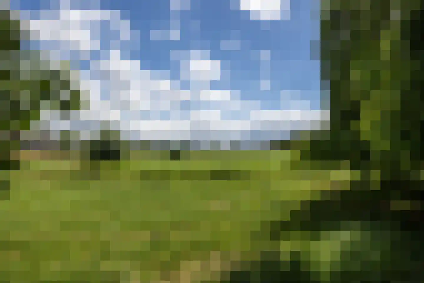 Schoutenboomgaardweg 2 Rhenen thumbnail 46