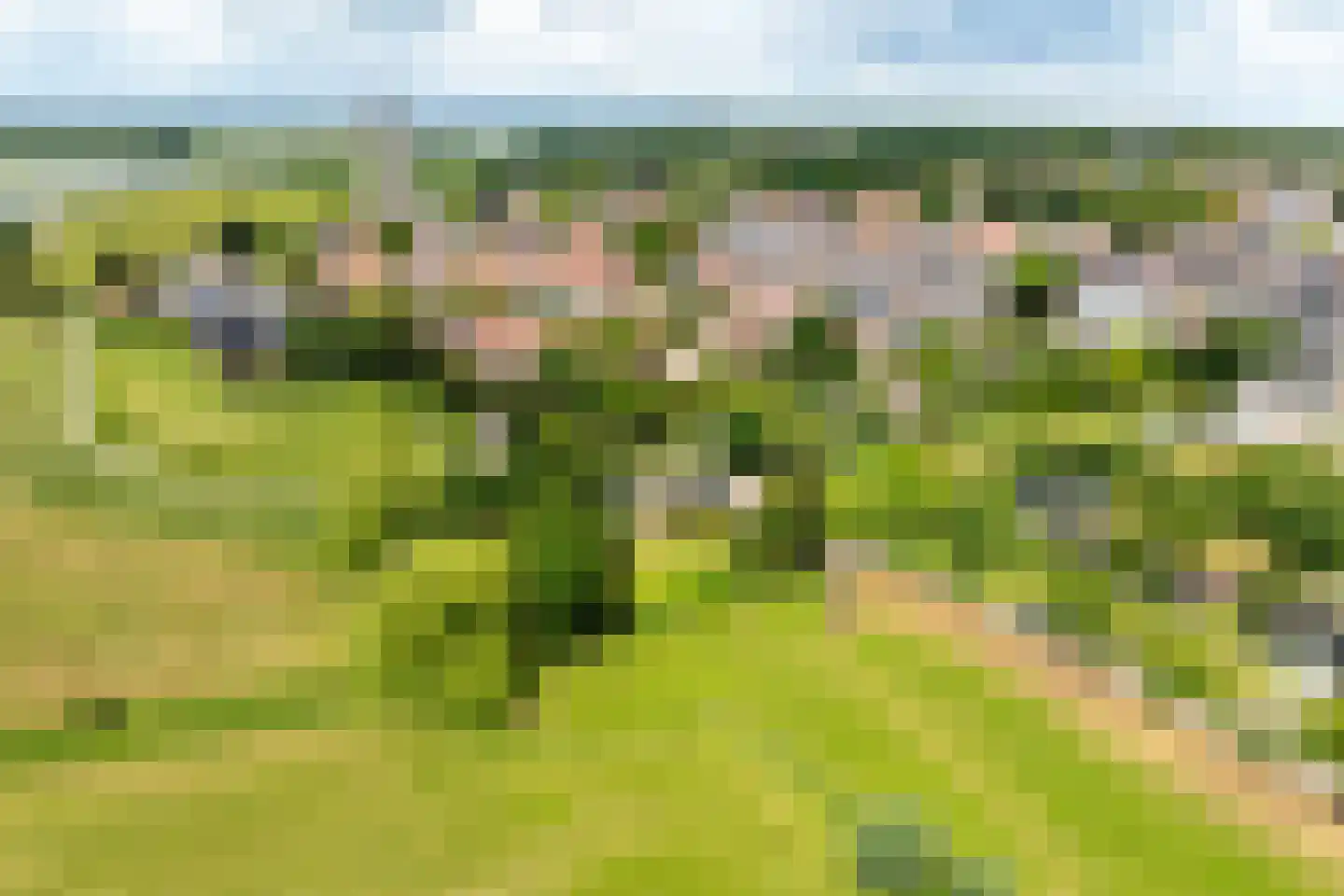 Schoutenboomgaardweg 2 Rhenen thumbnail 50