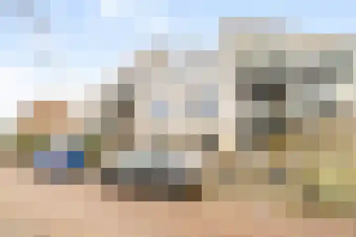 Schoutenbosch 103 Castricum thumbnail 31