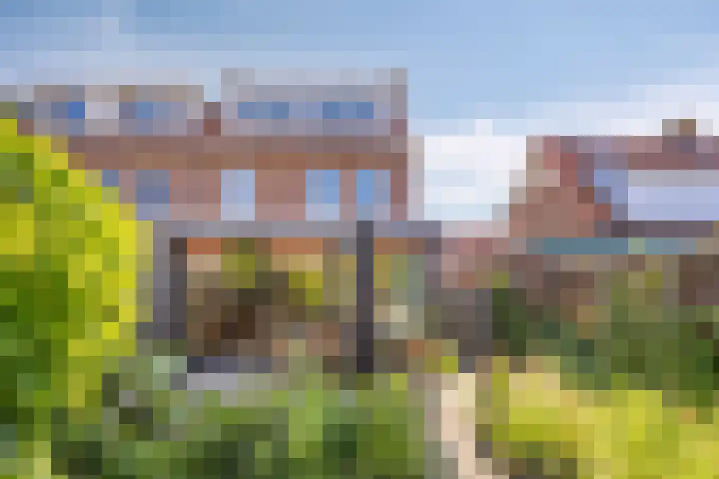 Schoutenbosch 15 Castricum thumbnail 20