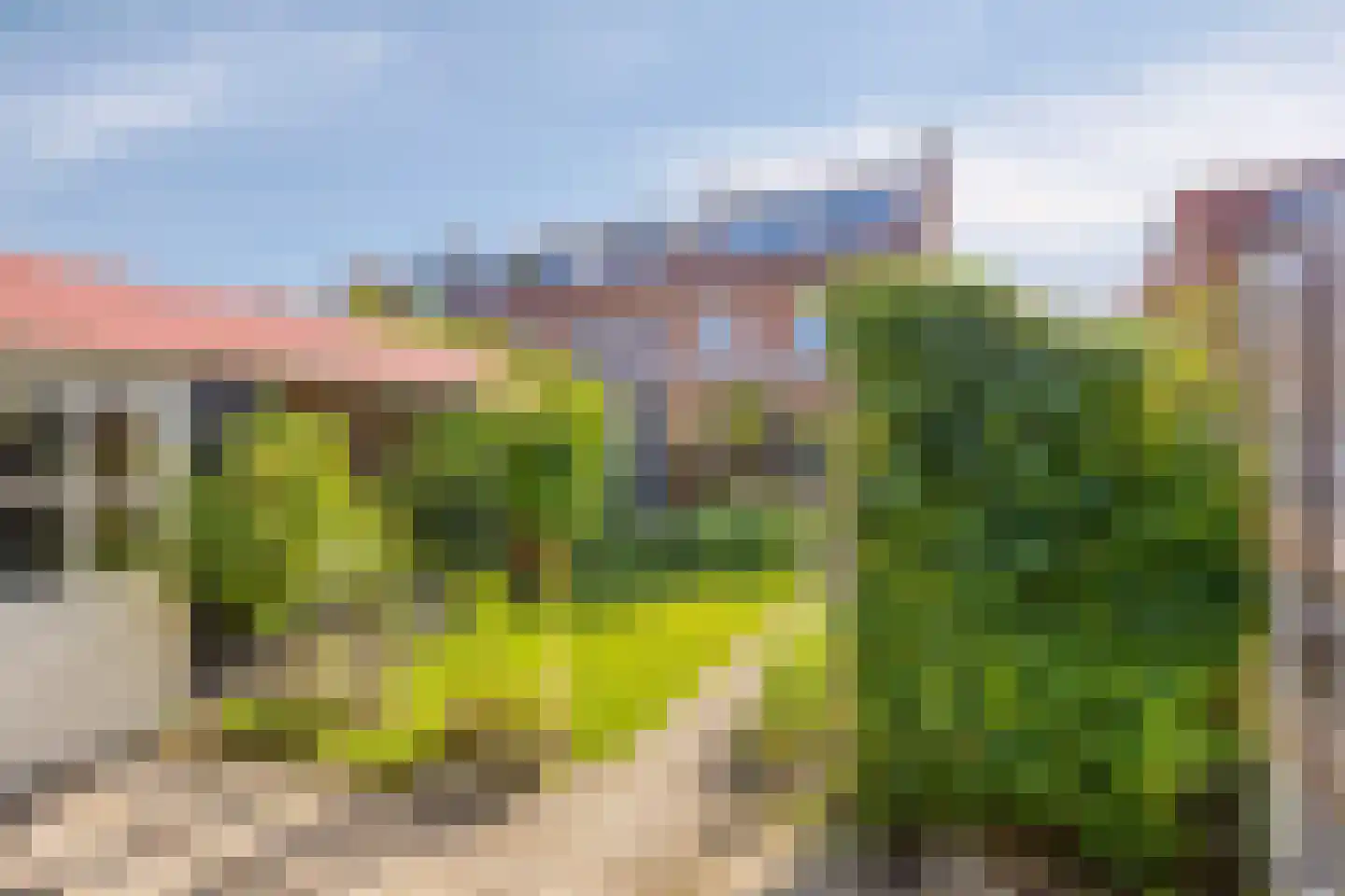 Schoutenbosch 15 Castricum thumbnail 23