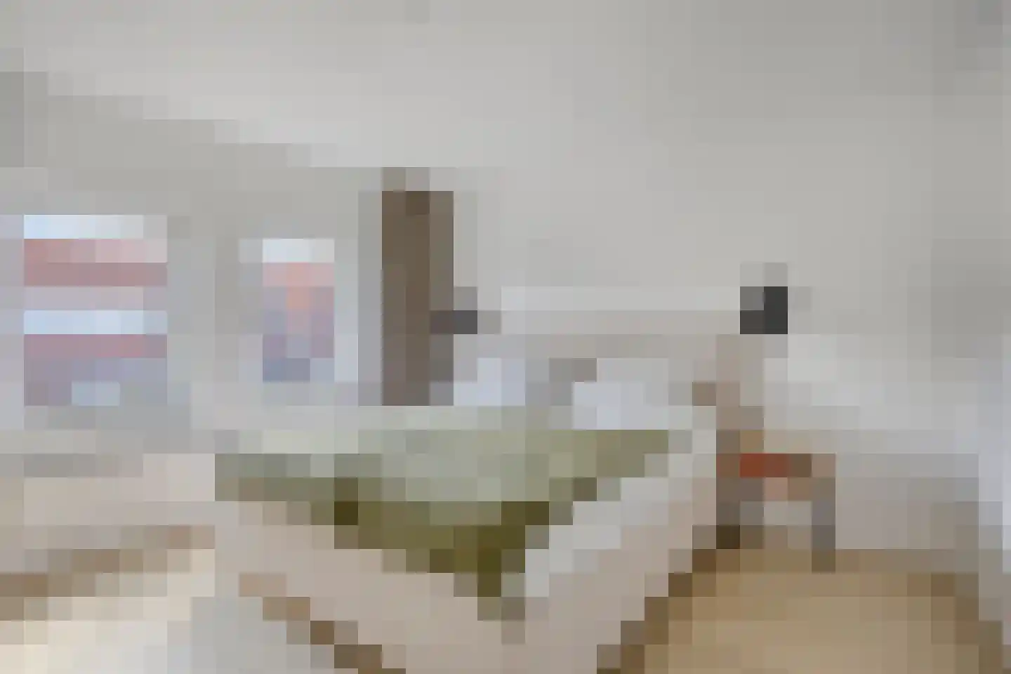 Schoutenbosch 15 Castricum thumbnail 30
