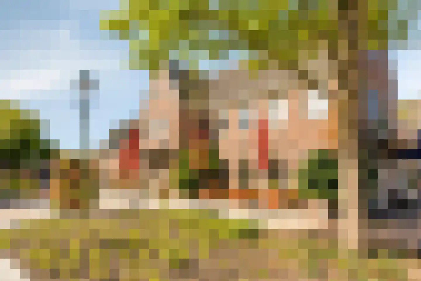 Schoutenbosch 15 Castricum thumbnail 44