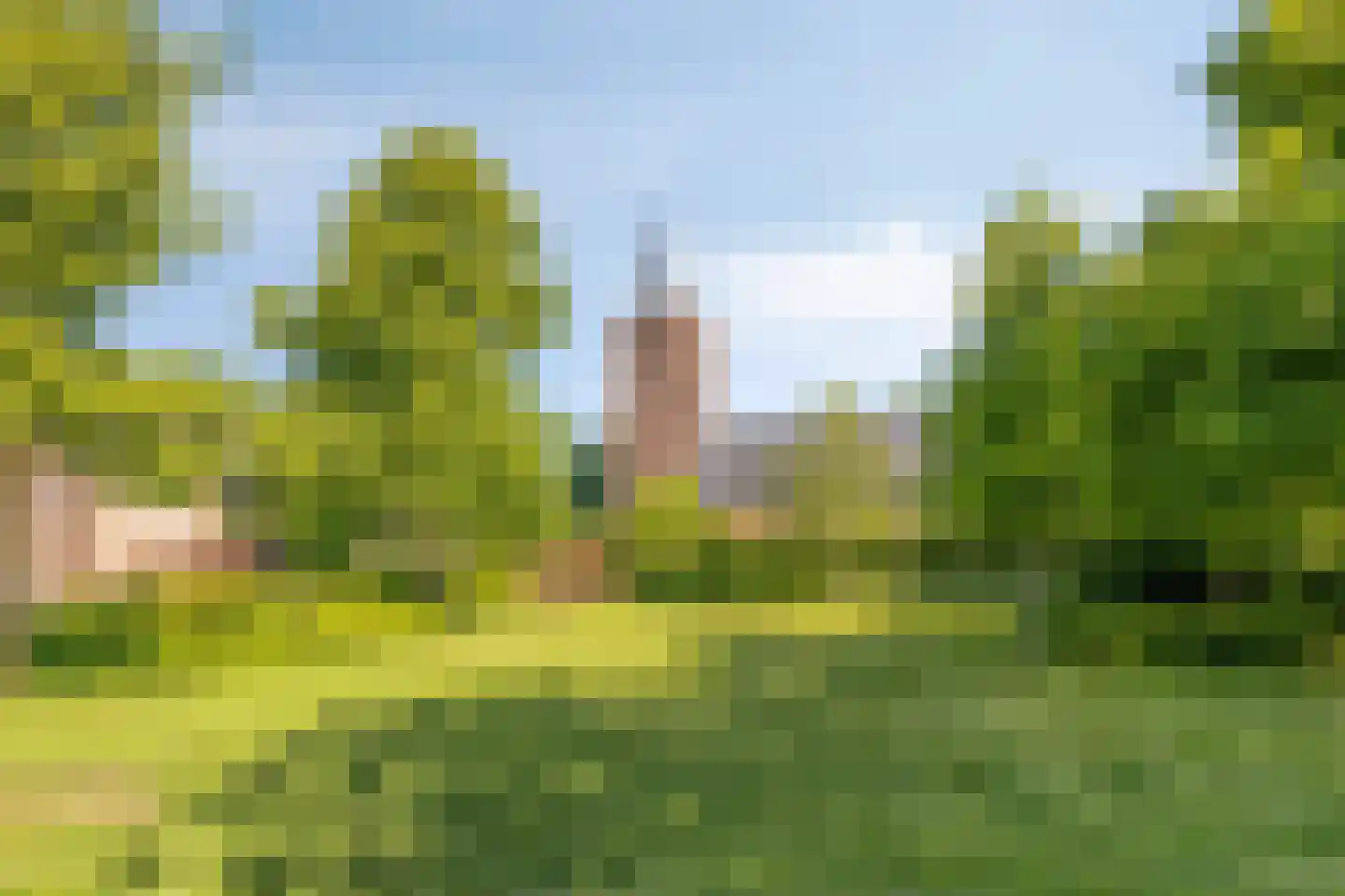 Schoutenbosch 15 Castricum thumbnail 45