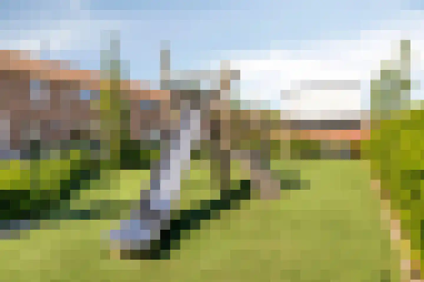 Schoutenbosch 15 Castricum thumbnail 46