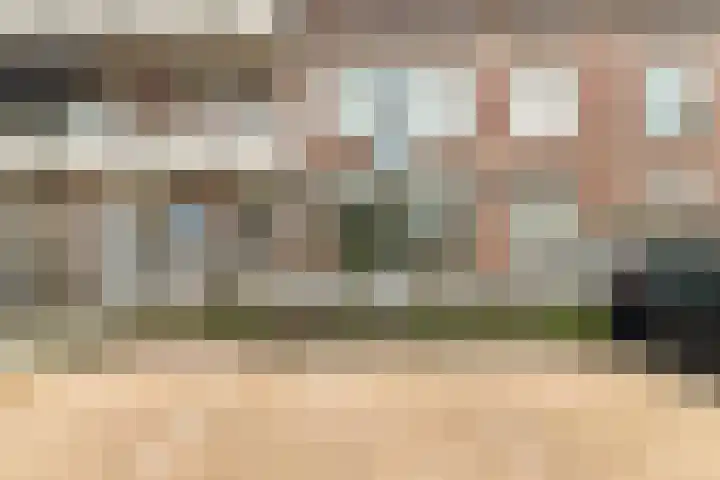 Schoutenbosch 2 a Castricum thumbnail 21