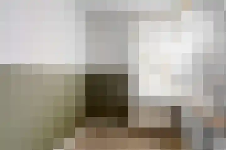Schoutenbosch 2 Castricum thumbnail 4