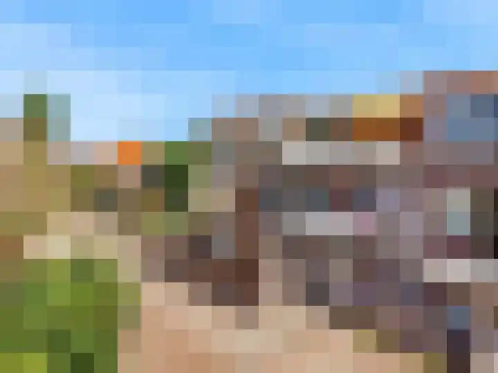 Schoutenbosch 2 Castricum thumbnail 5