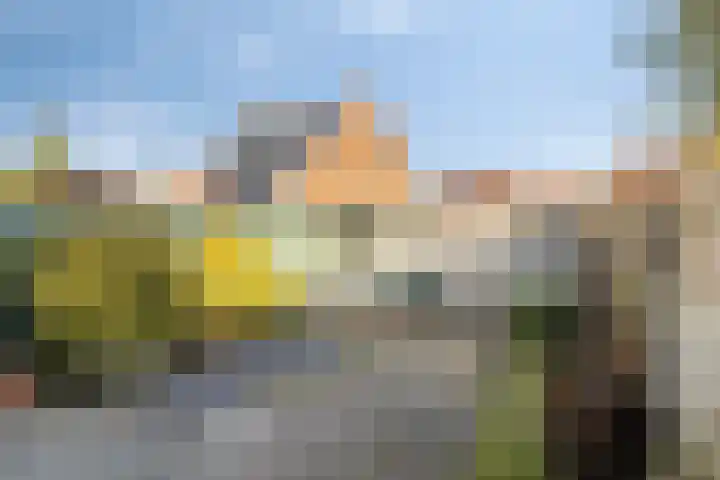Schoutenbosch 44 Castricum thumbnail 24