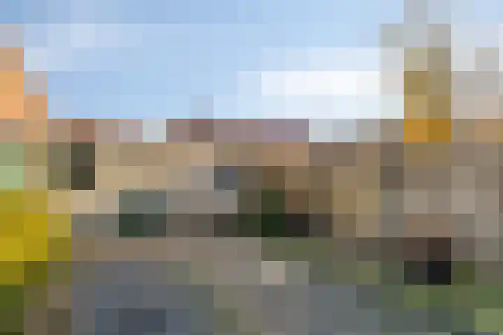 Schoutenbosch 44 Castricum thumbnail 25