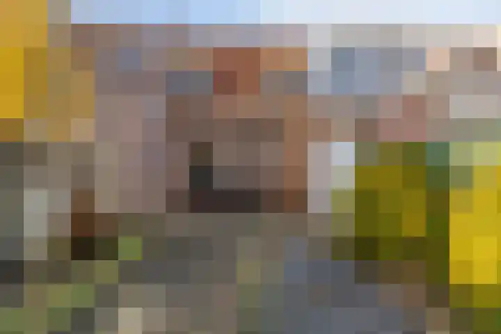 Schoutenbosch 44 Castricum thumbnail 26
