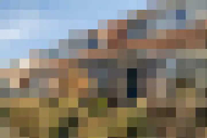Schoutenbosch 44 Castricum thumbnail 29