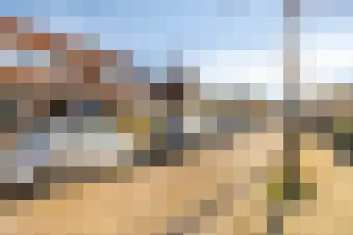 Schoutenbosch 44 Castricum thumbnail 30