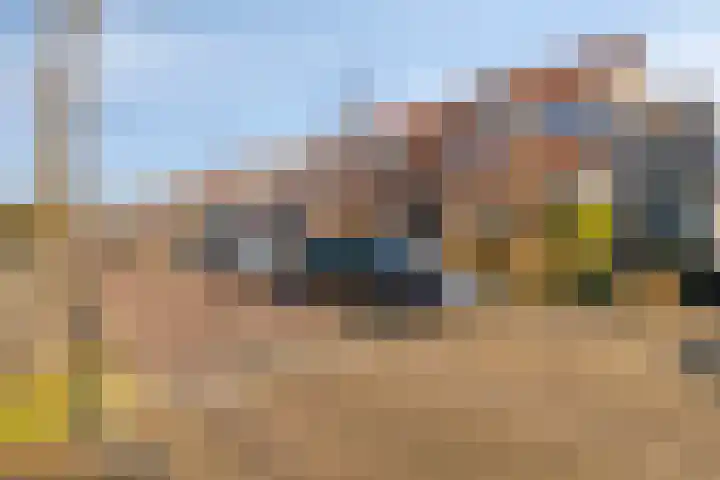 Schoutenbosch 44 Castricum thumbnail 31