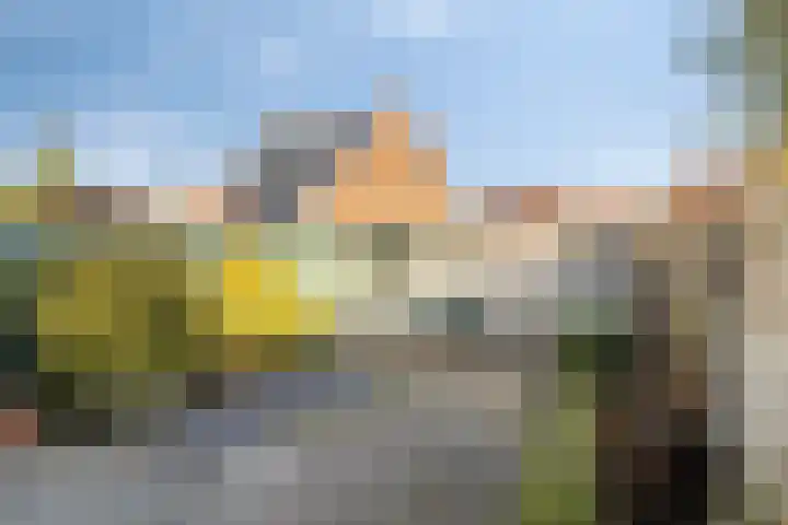 Schoutenbosch 44 Castricum thumbnail 4