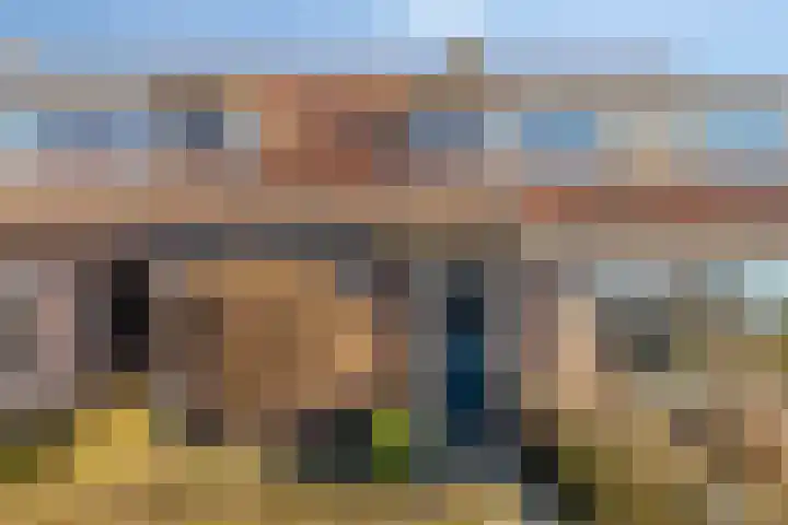 Schoutenbosch 44 Castricum thumbnail 5
