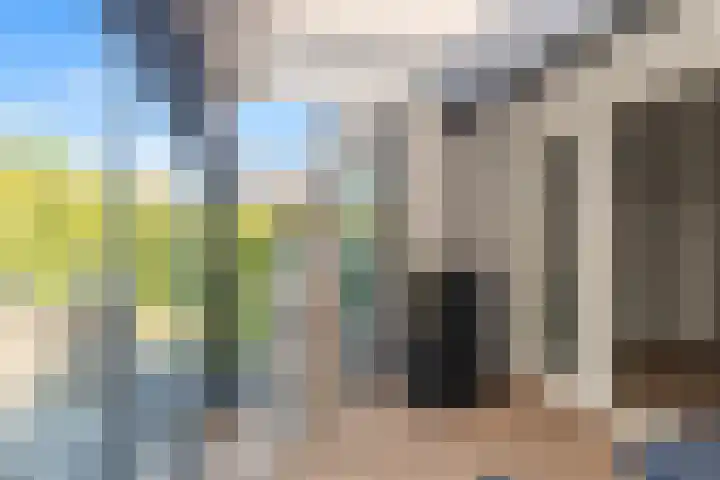 Schoutenbosch 49 Castricum thumbnail 26
