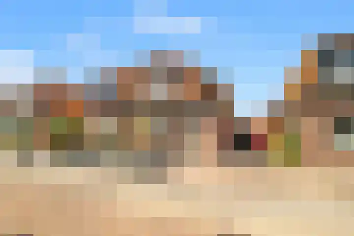 Schoutenbosch 49 Castricum thumbnail 5