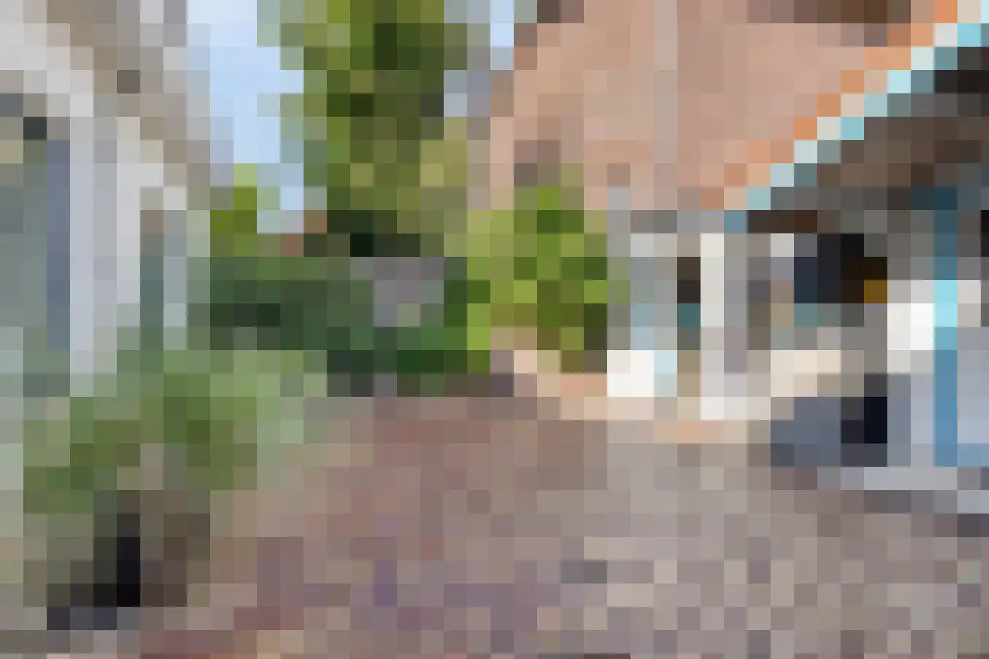 Schoutenbosch 8 Castricum thumbnail 12