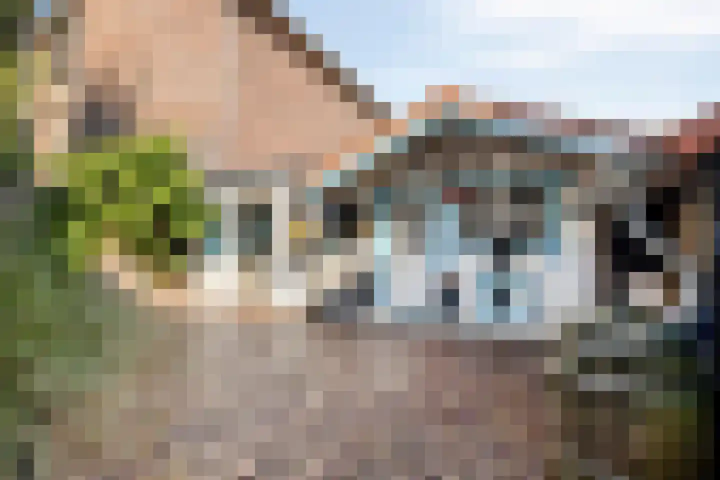 Schoutenbosch 8 Castricum thumbnail 13
