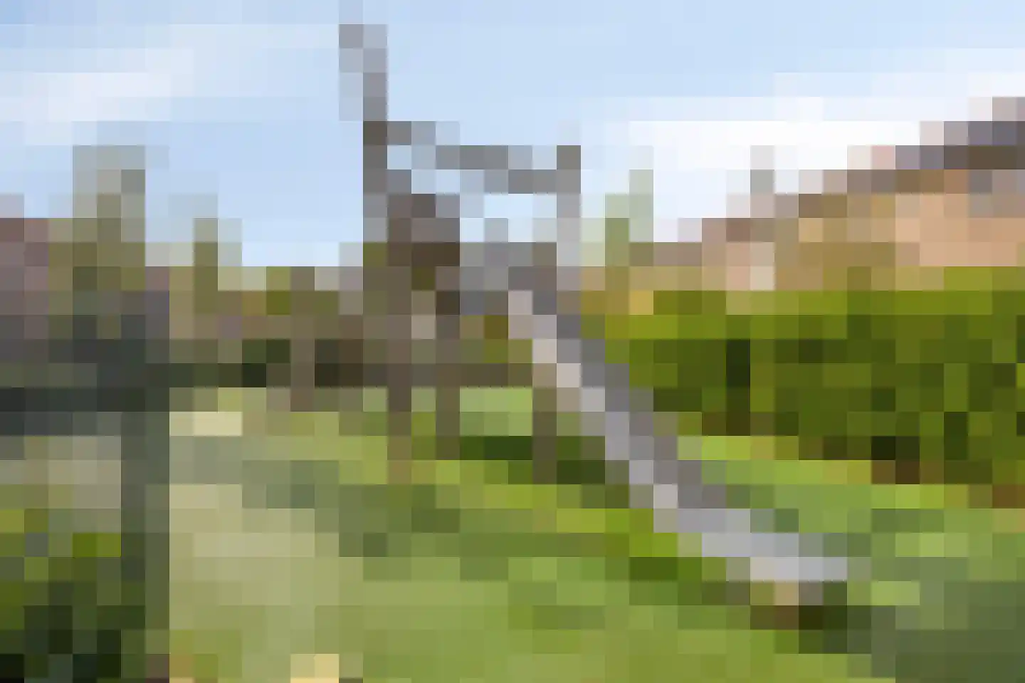 Schoutenbosch 8 Castricum thumbnail 37