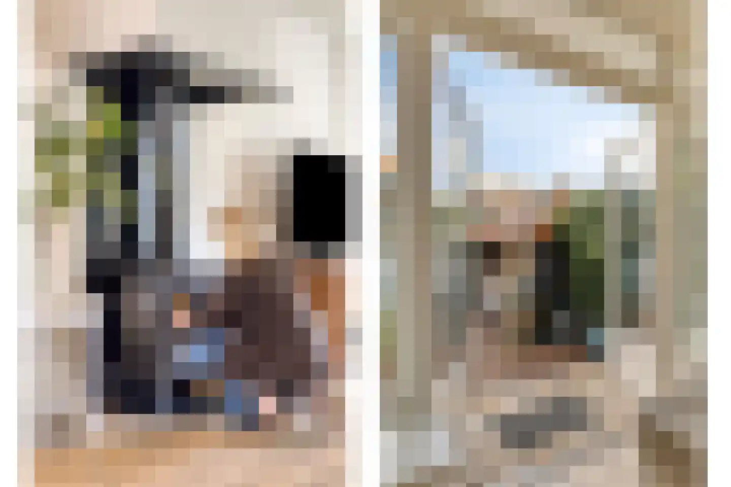 Schoutenbosch 8 Castricum thumbnail 5