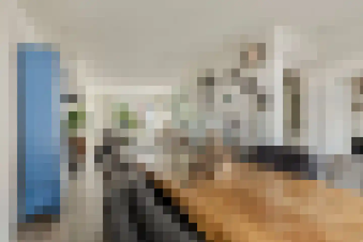 Schoutenbosch 8 Castricum thumbnail 6