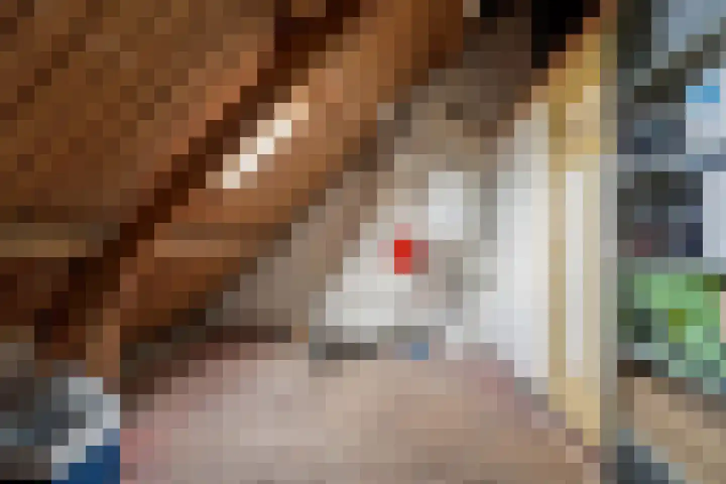 Schoutenburgstraat 21 Oegstgeest thumbnail 30
