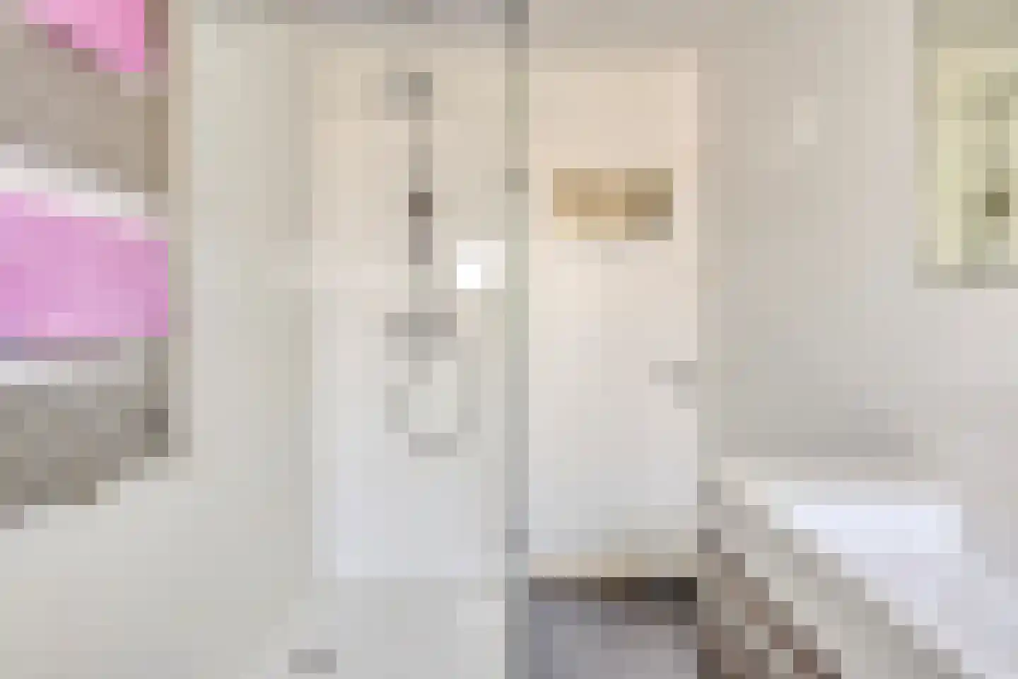 Schoutenburgstraat 3 Oegstgeest thumbnail 19