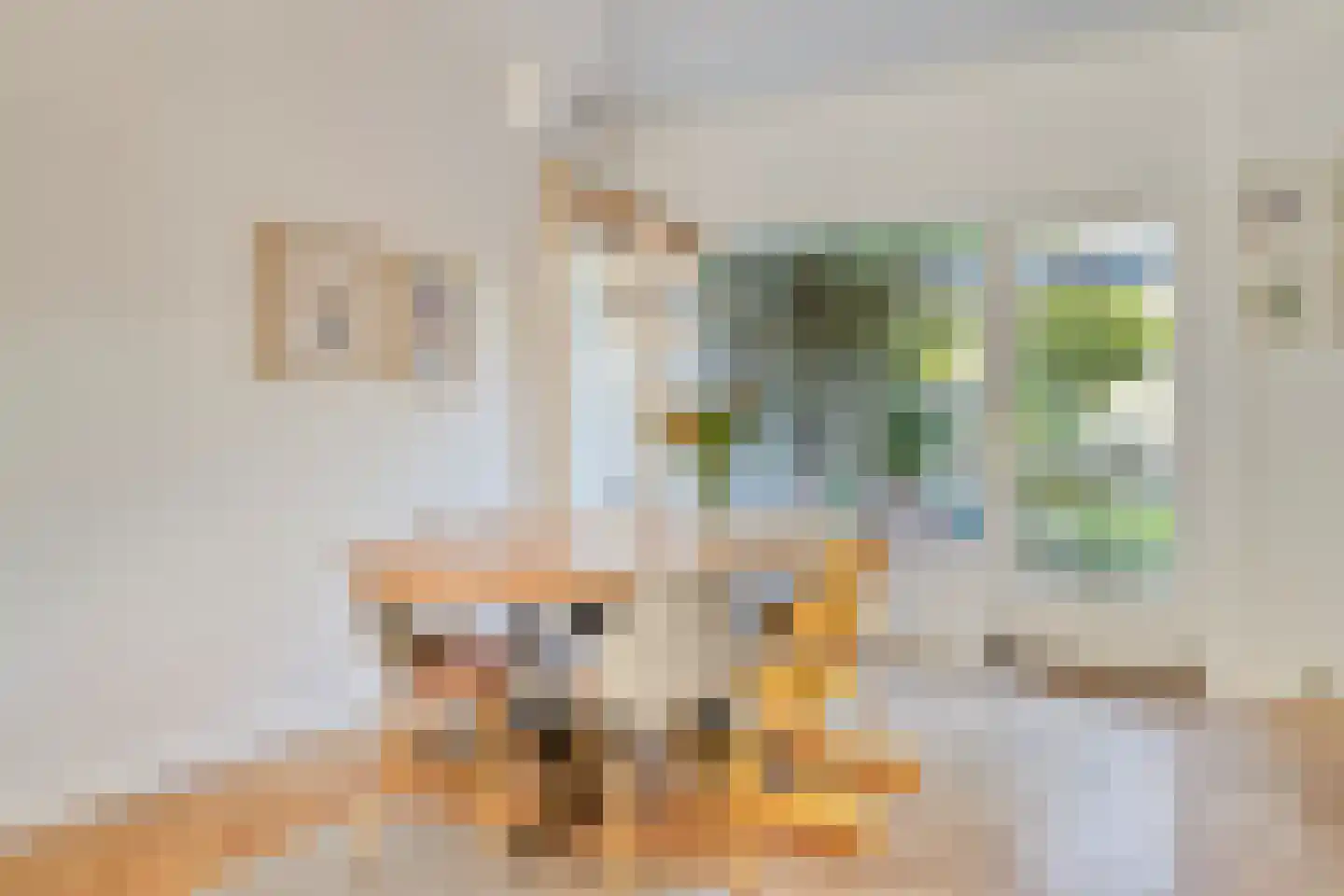 Schoutenburgstraat 3 Oegstgeest thumbnail 9