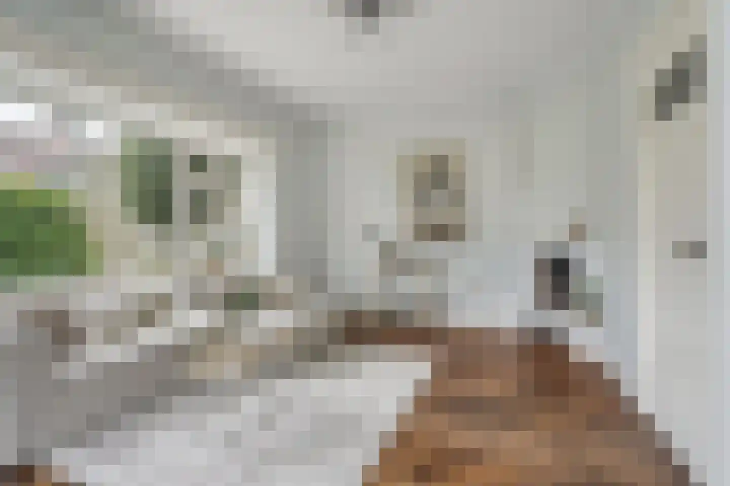 Schoutenburgstraat 33 Oegstgeest thumbnail 14