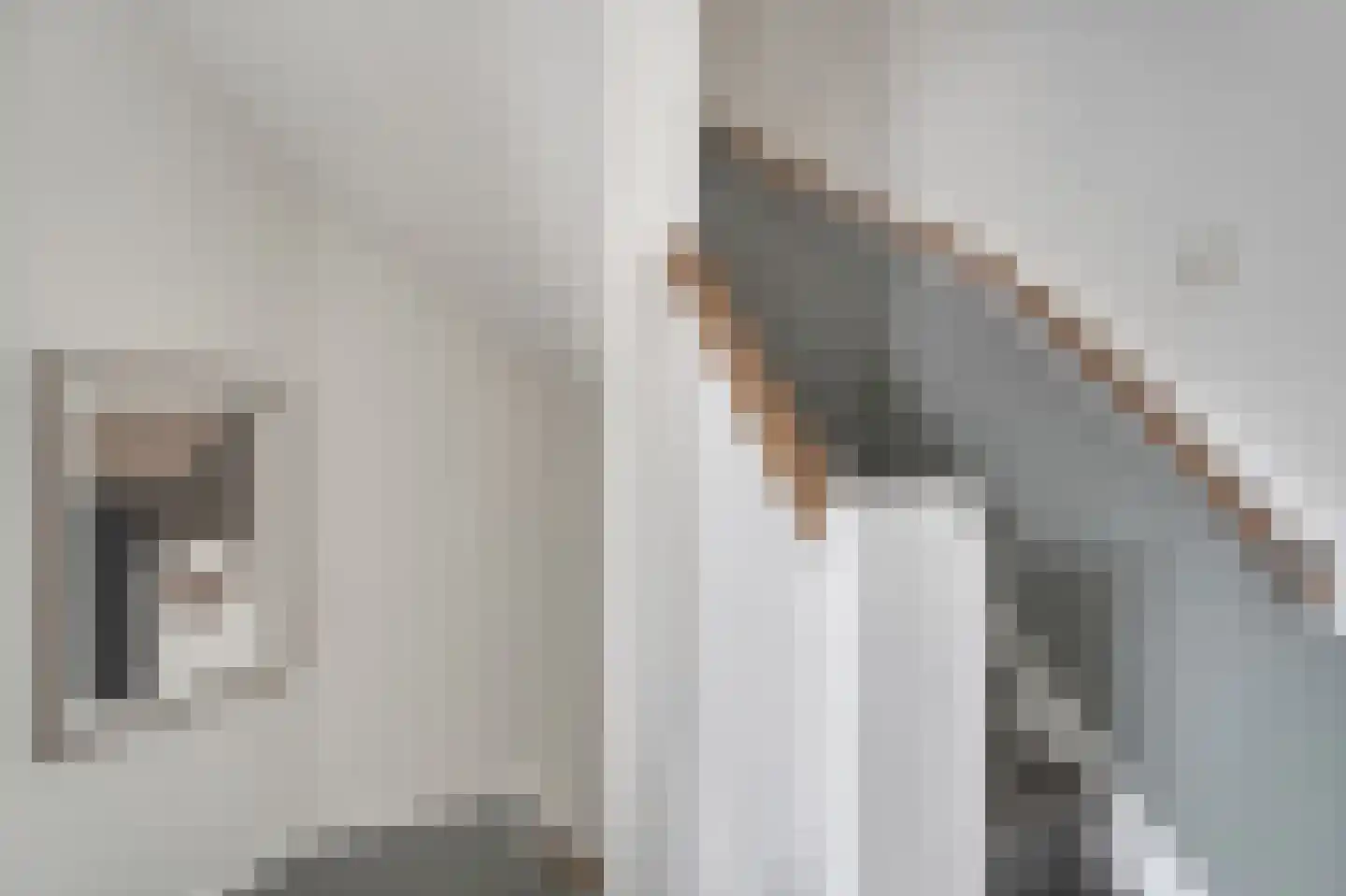 Schoutenburgstraat 33 Oegstgeest thumbnail 41