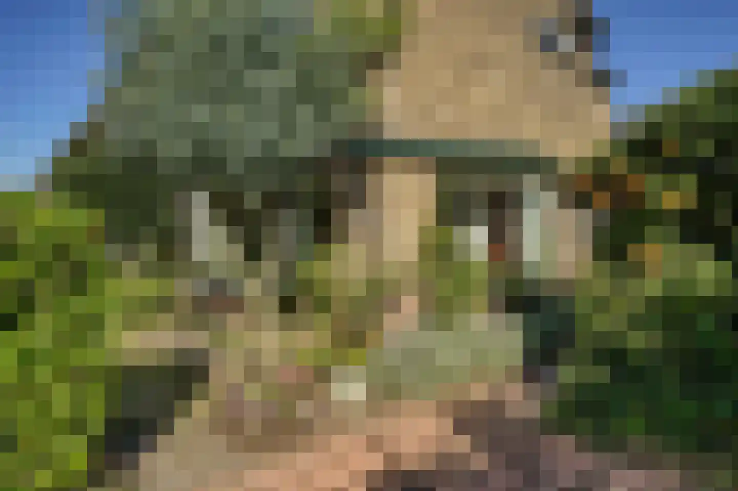 Schoutenburgstraat 33 Oegstgeest thumbnail 6