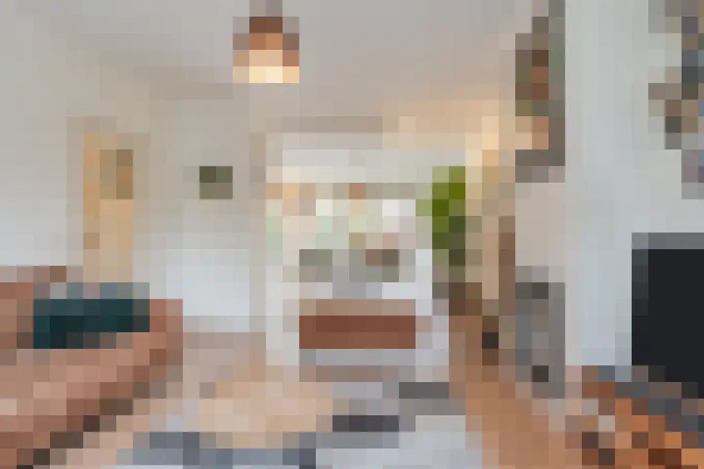 Schoutenburgstraat 4 Oegstgeest thumbnail 10
