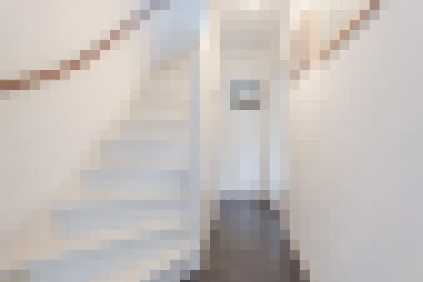 Schoutenburgstraat 4 Oegstgeest thumbnail 6